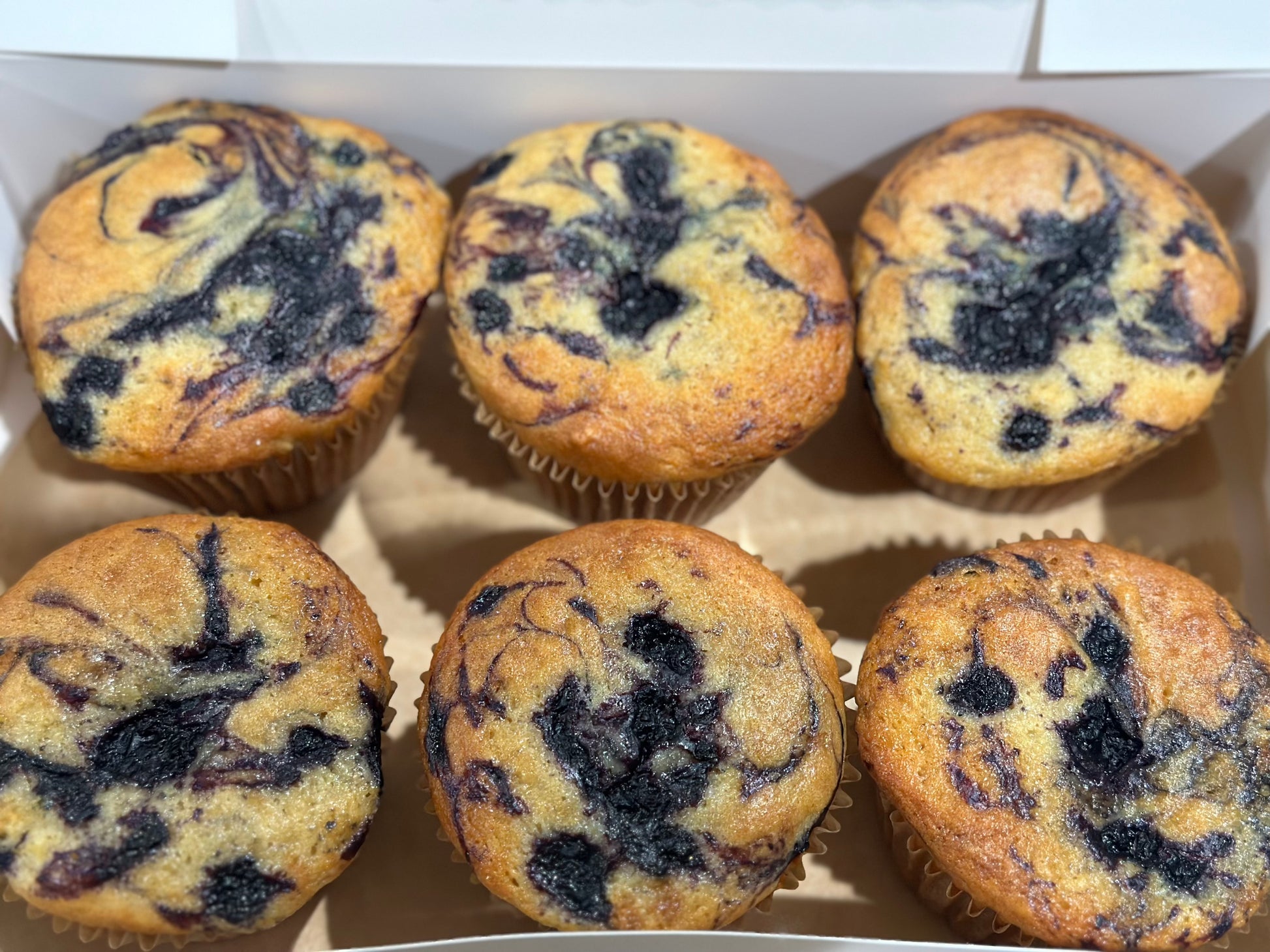 Blueberry Power