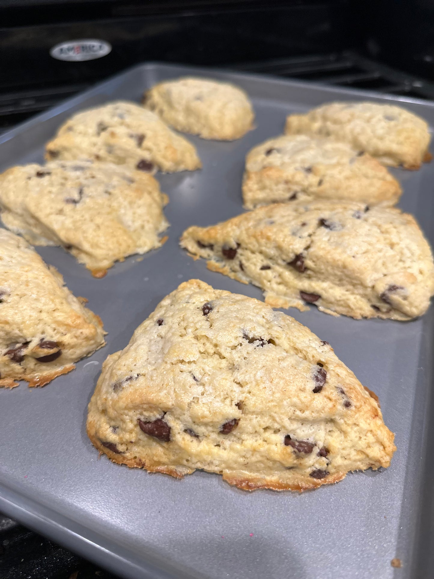 Chocolate Chip Scone