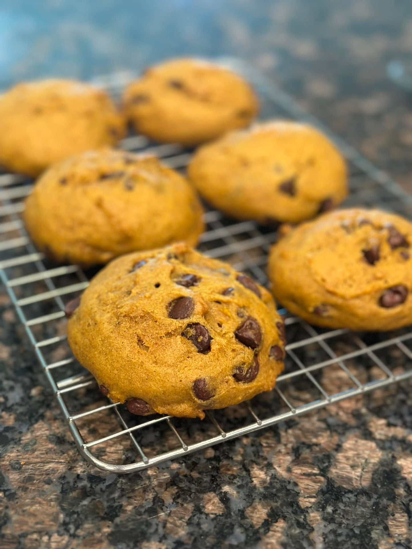 Pumpkin Chocolate Chip